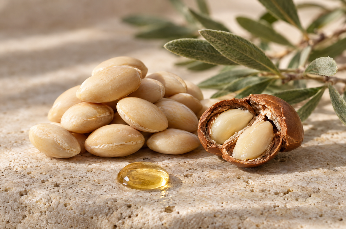 Raw argan kernels and a cracked argan nut beside a bead of pure argan oil on travertine