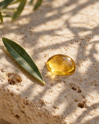 A single drop of argan oil on travertine stone beside an argan leaf